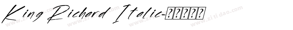 King Richard Italic字体转换